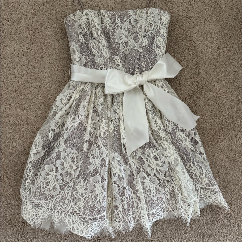 Jessica Mcclintock Light Purple With White Lace Strapless A-Line Dress
